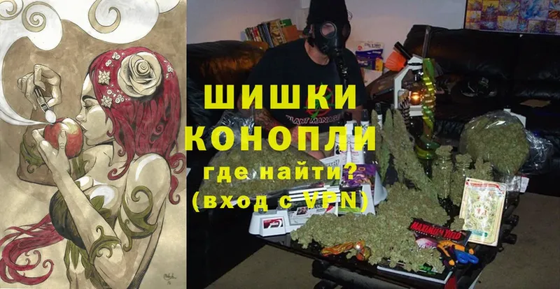 Каннабис OG Kush  Мостовской 